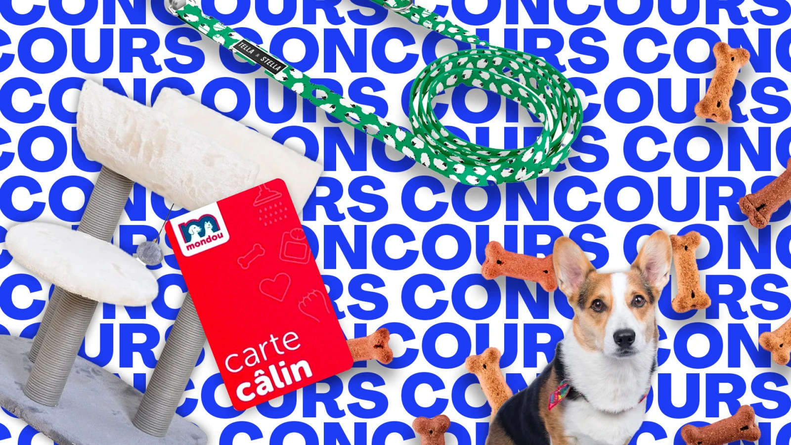 Gagnez 250$ en points câlin!