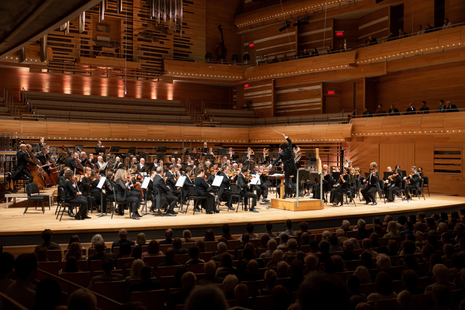 (Crédit photo : Antoine Saito)