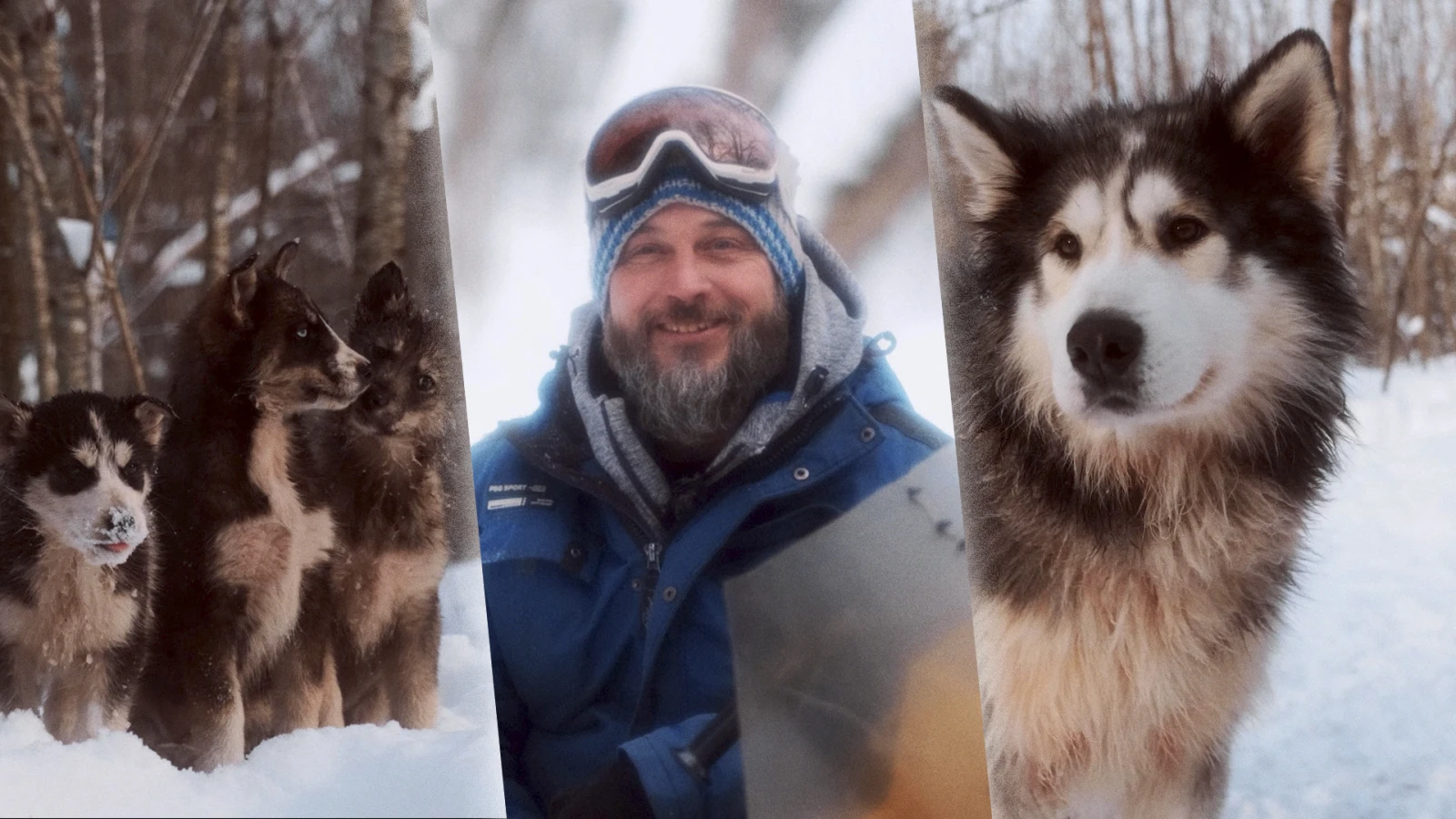 Reportage terrain : Éric et sa meute de chiens