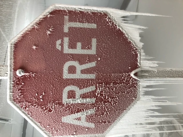 Crédit : Université du Québec à Chicoutimi