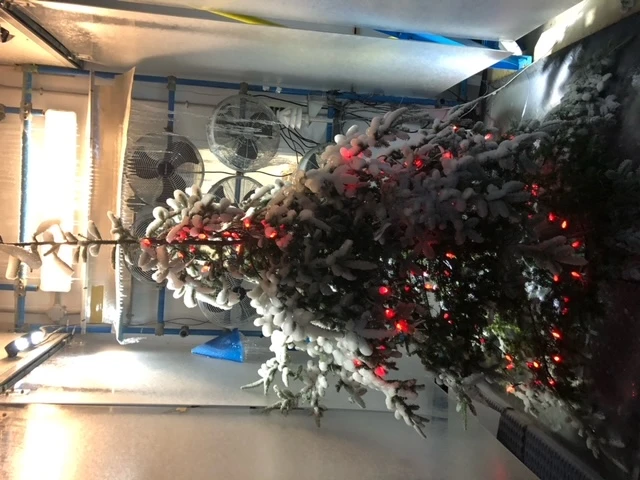 Crédit : Université du Québec à Chicoutimi