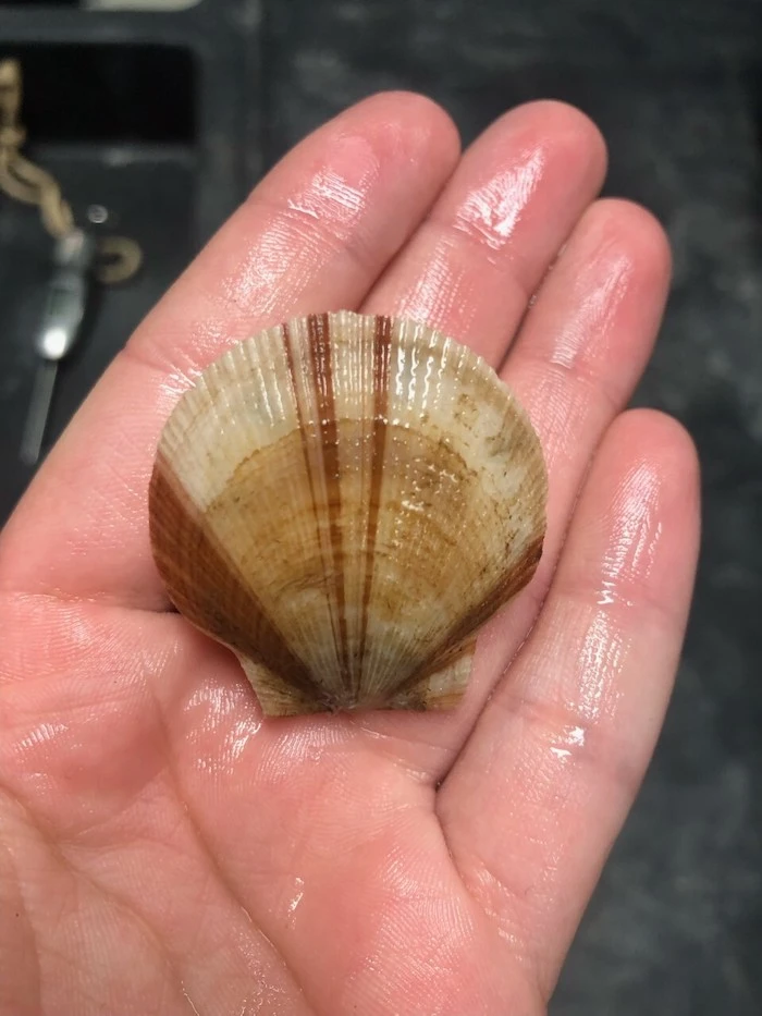 Crédits photo : Marie Faraut