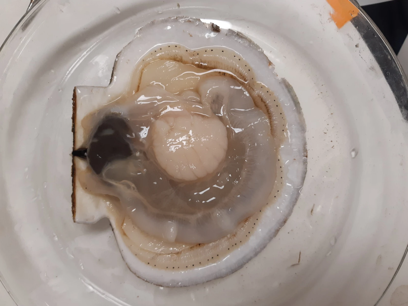 Crédits photo : Marie Faraut