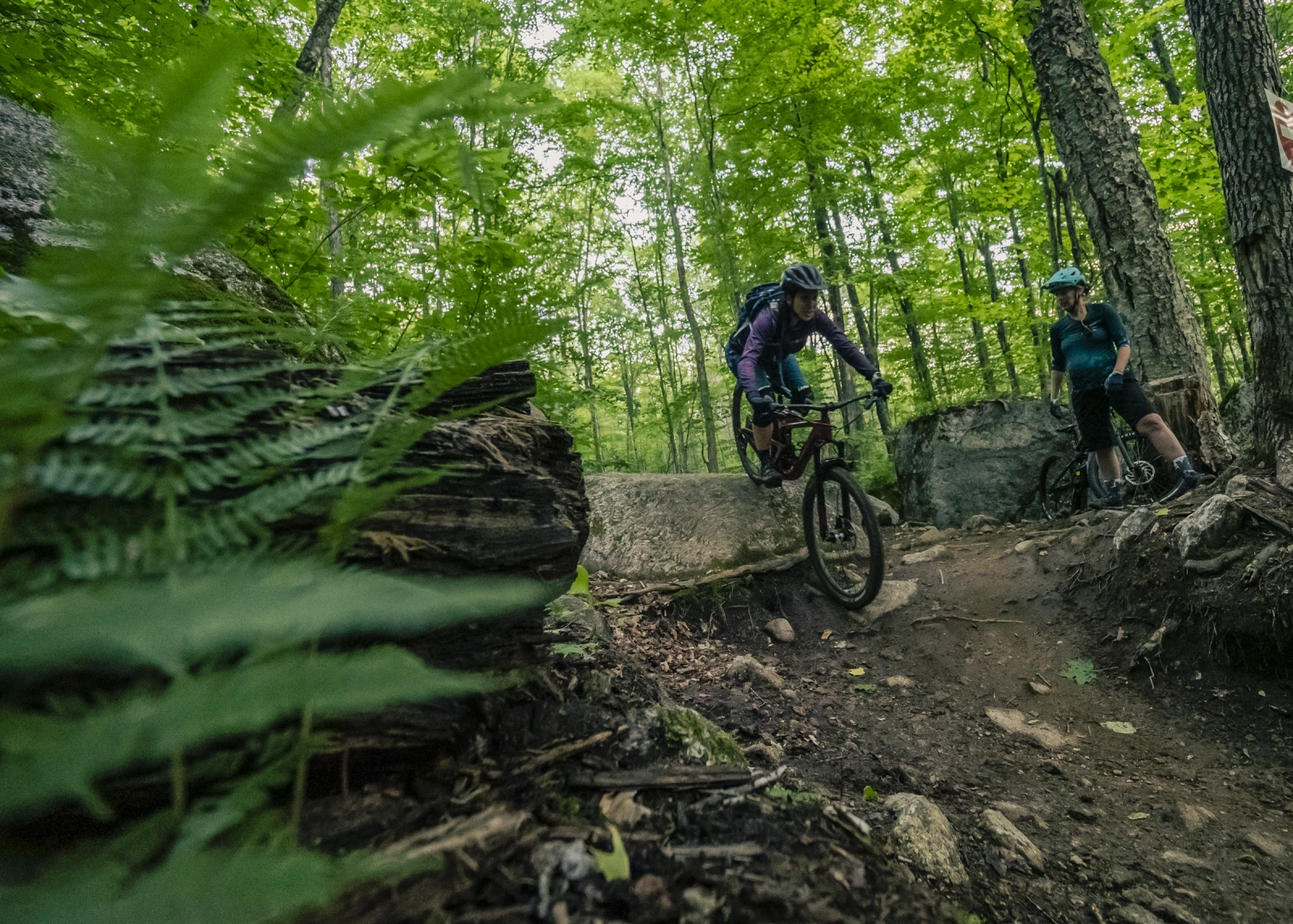 Crédit : Jean-Sébastien Cartier-Plante