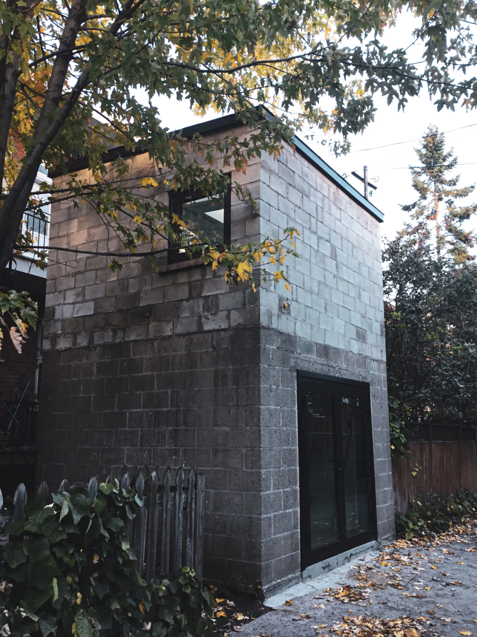 Courtoisie Gilles Tarabiscuité