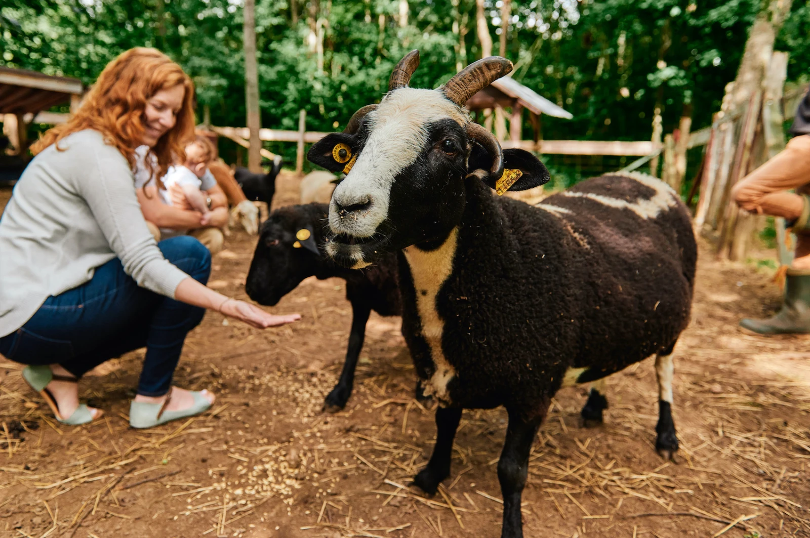 Crédit photo : Daphné Caron