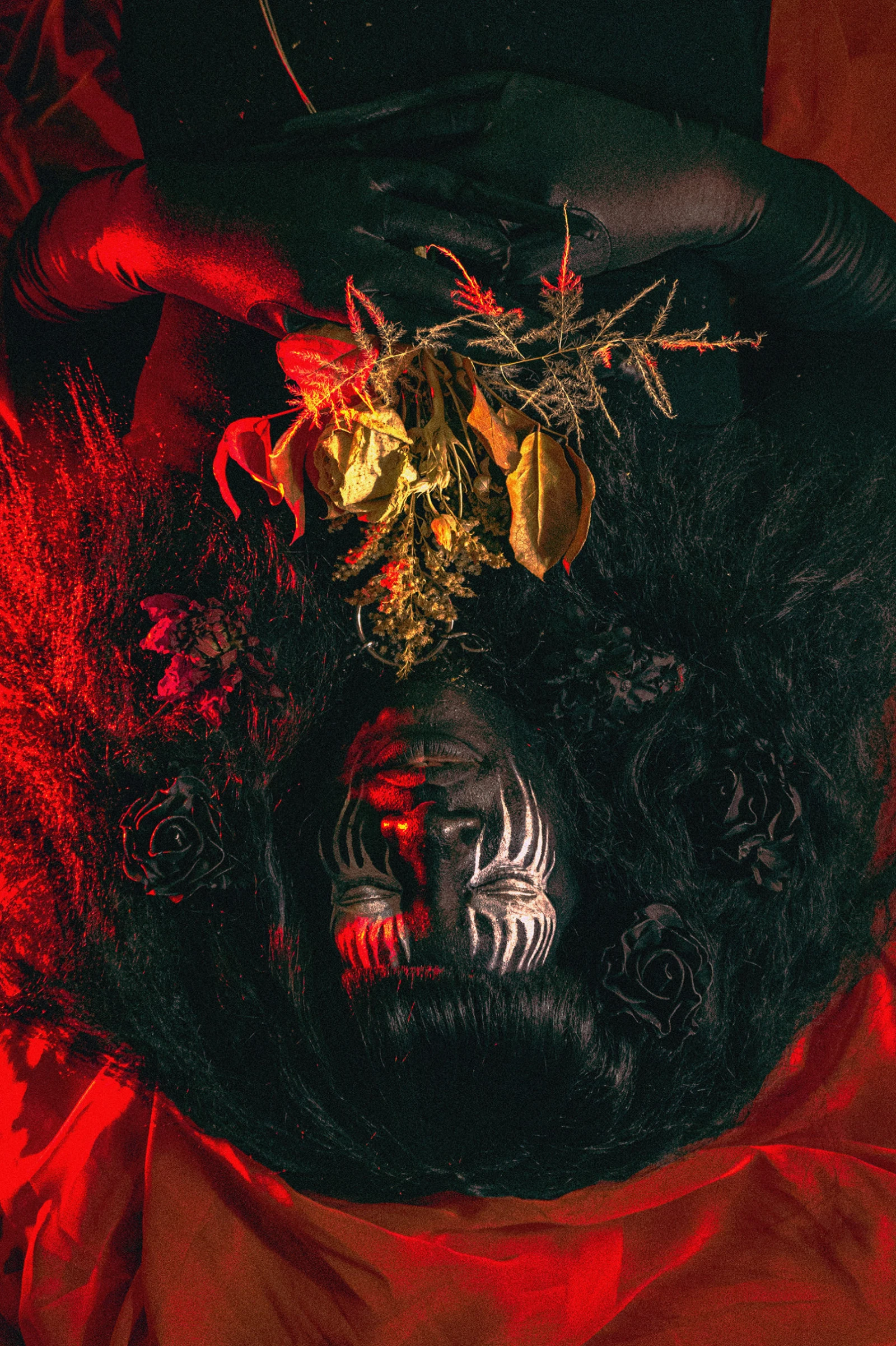 Crédit: Chachi Revah