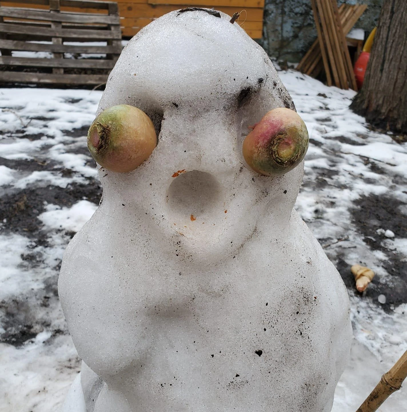 Le «Cri de Munch» de Jérémie