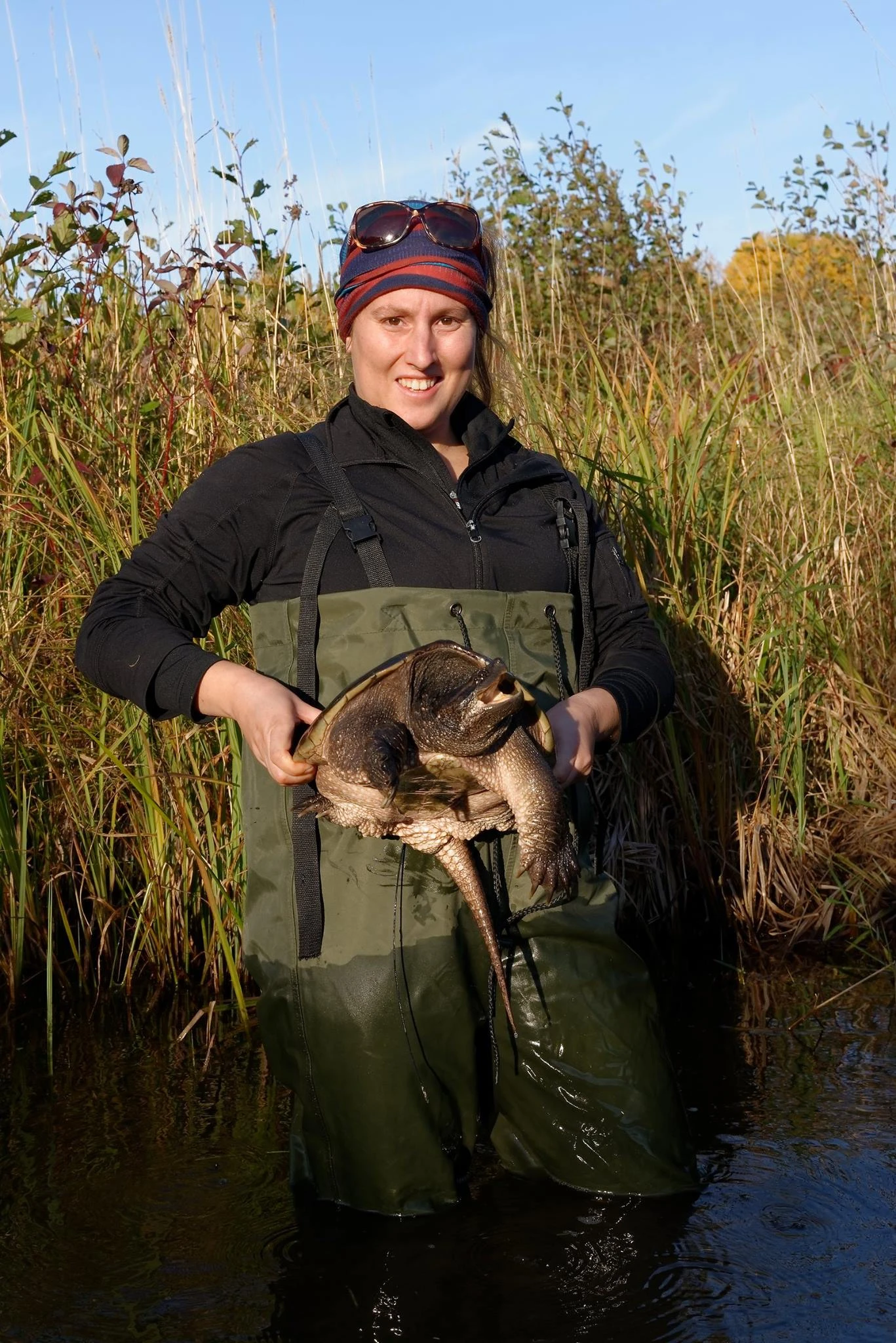 Crédit : Jean Lapointe