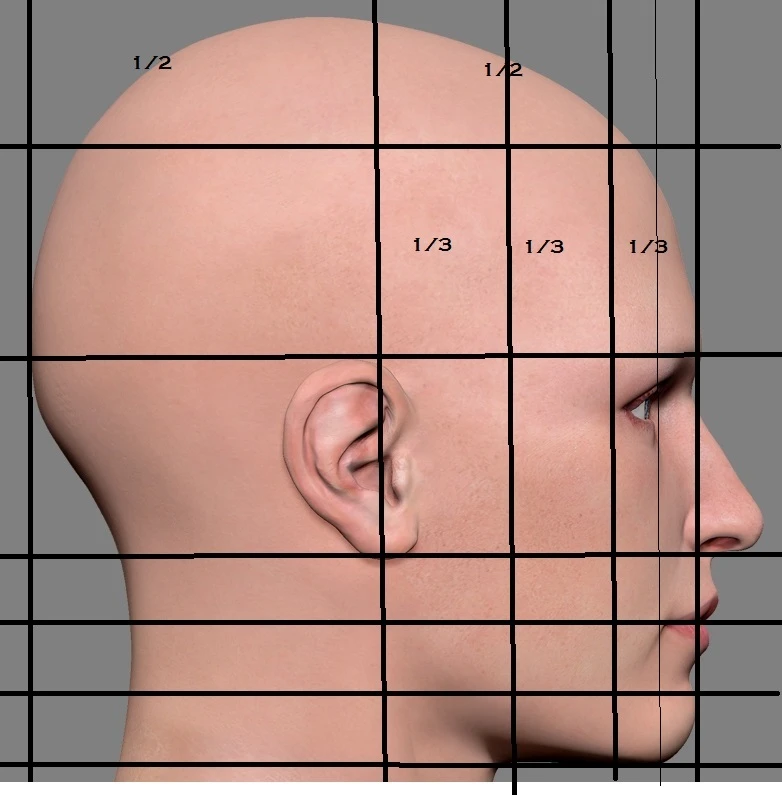 Exemples de mesures anthropométriques.