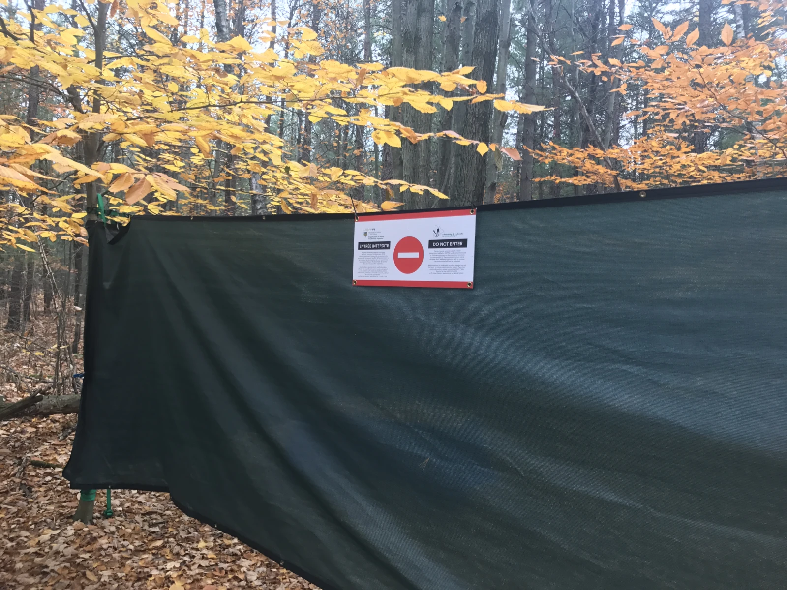 L’entrée du site temporaire.