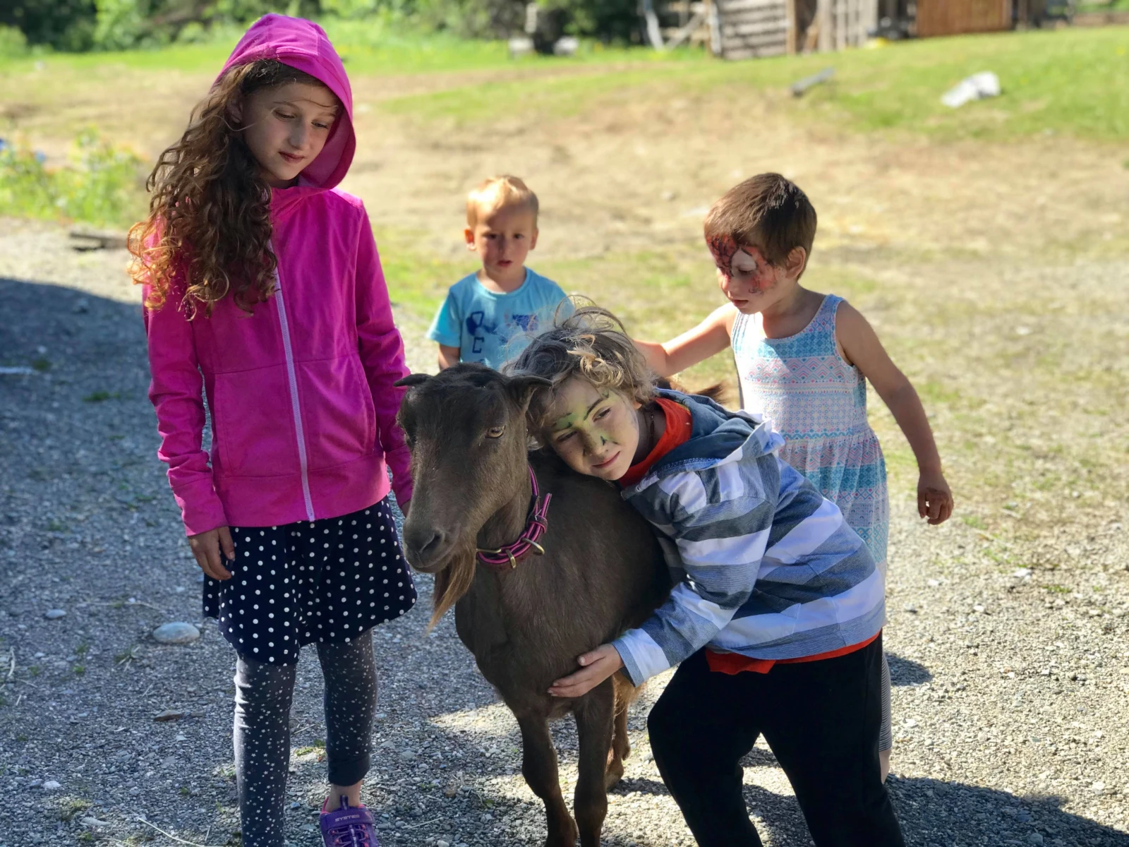On aurait tous voulu avoir des animaux à coller comme les enfants de Leyla quand on était petit. Et même encore aujourd’hui.