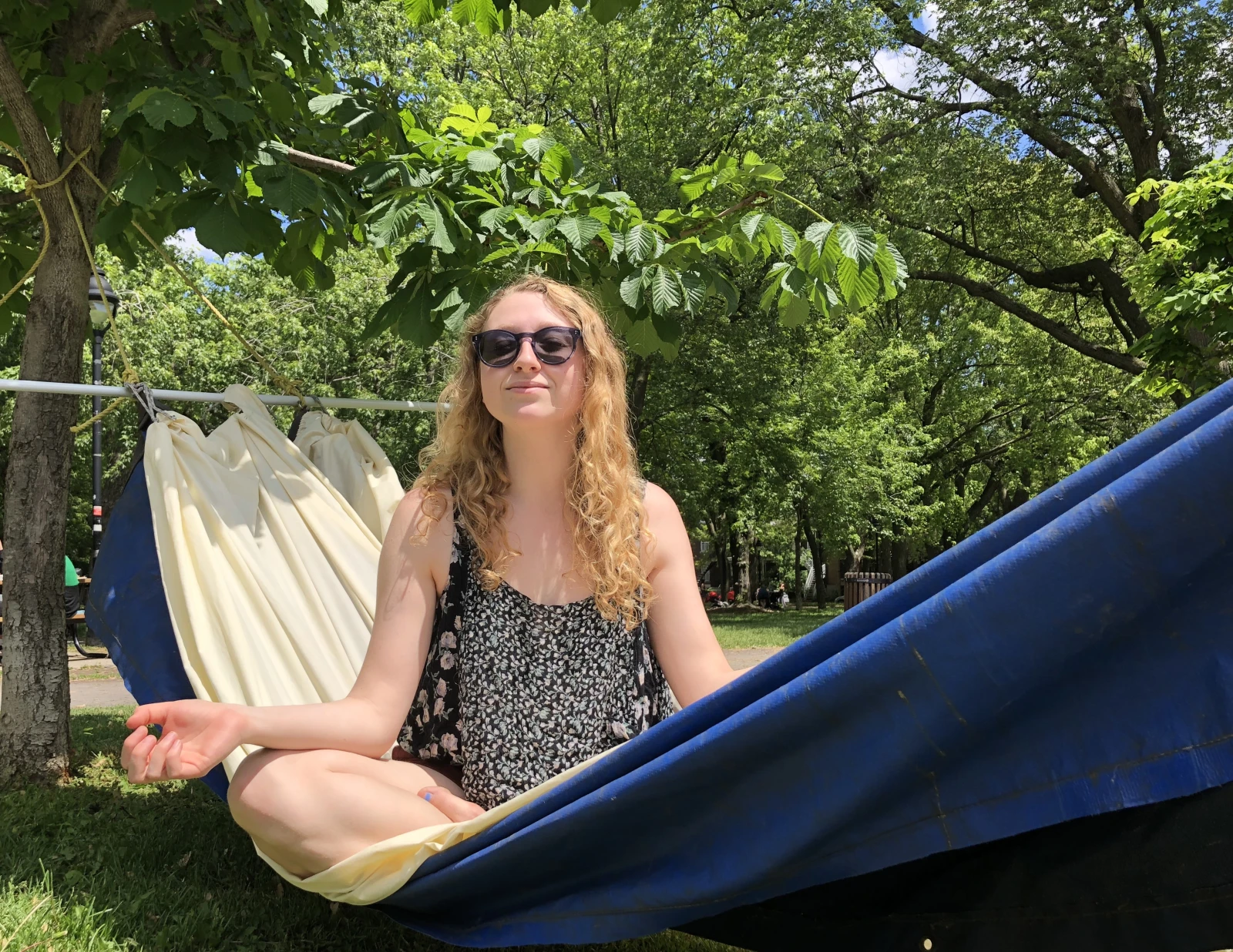 Moi qui célèbre ma victoire éco-responsable en chuchotant «Namaste», avec la même douceur que le moteur hybride de ma Communauto.