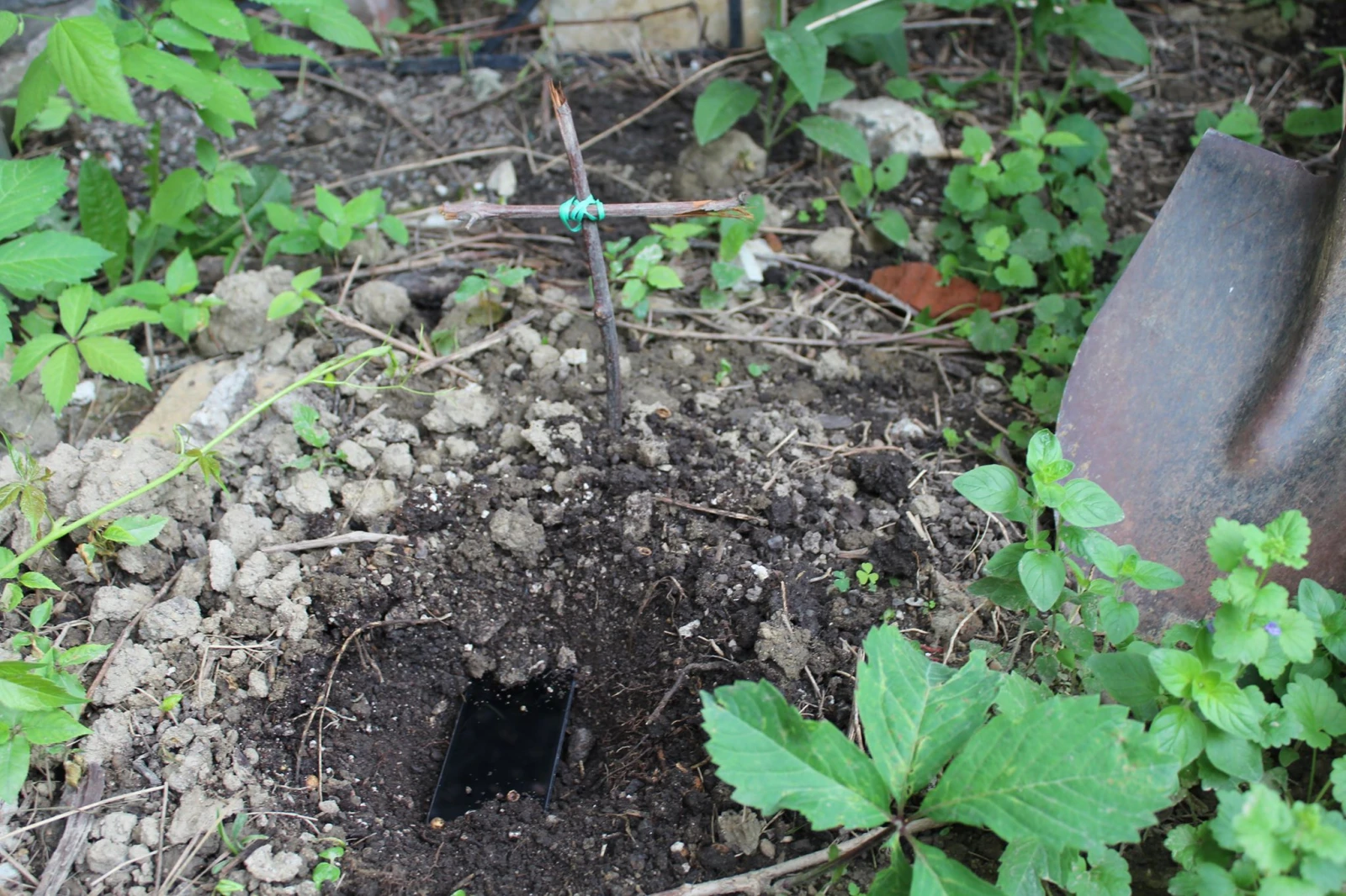 Mon iPod, à moitié enterré./Crédits photo: Jean-Michel Berthiaume