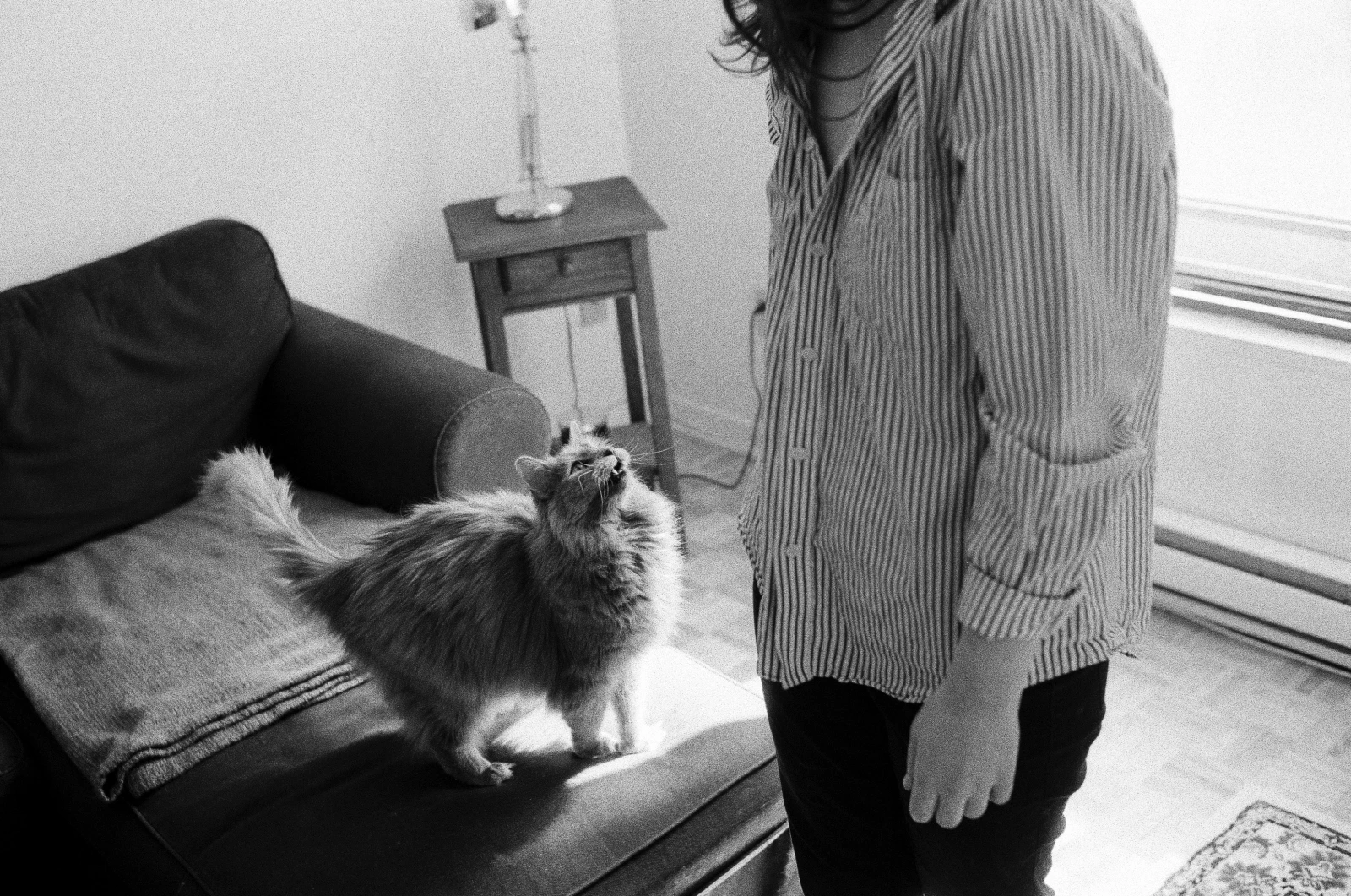 Crédit : Mathieu Lalonde