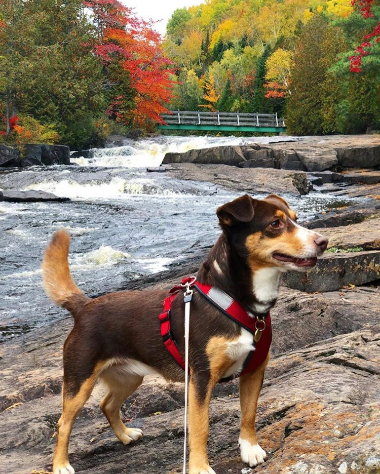 Crédit : Judith Lussier