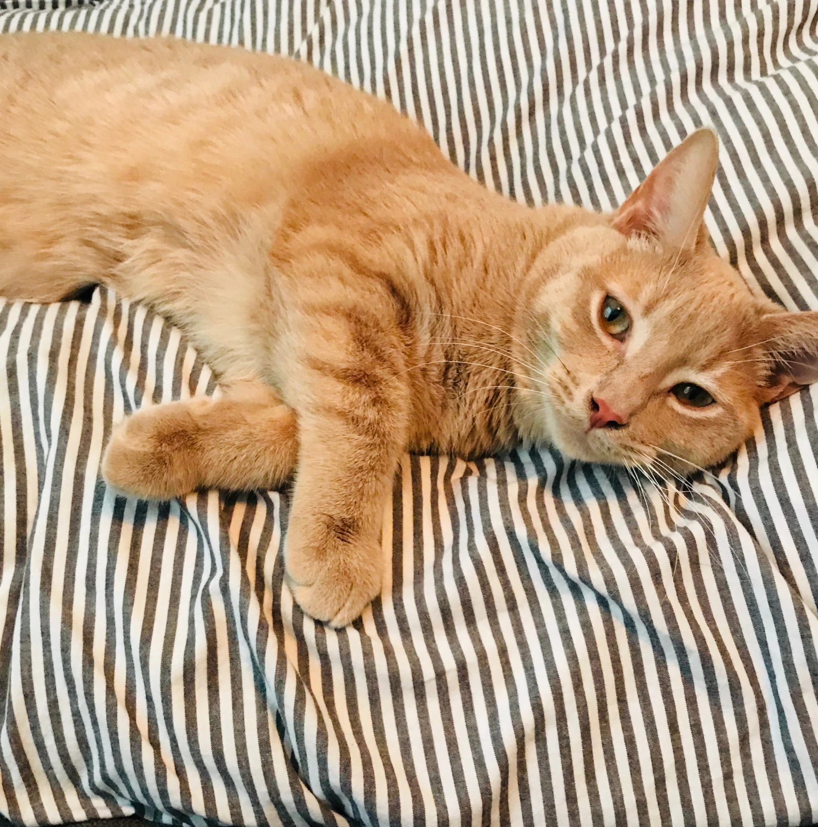 Crédit : Solveig Mcclure Poirier