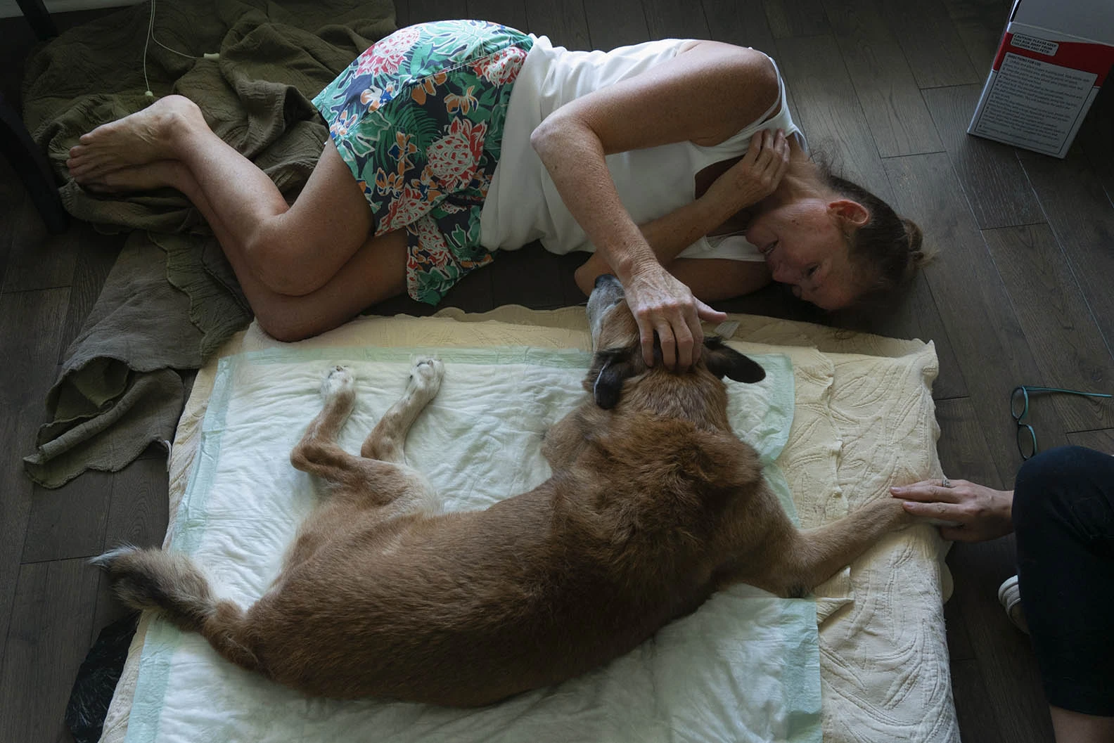 Crédit: Ross Taylor