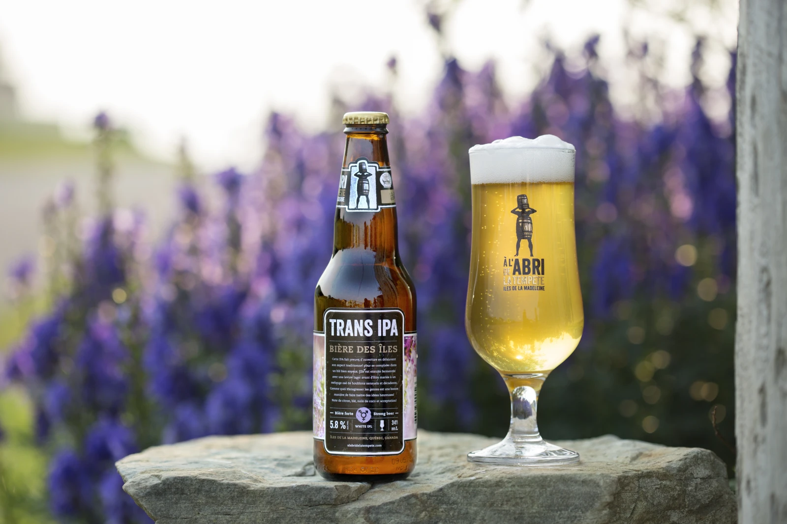 Courtoisie À l’abri de la Tempête. Crédit photo Emmanuelle Roberge.