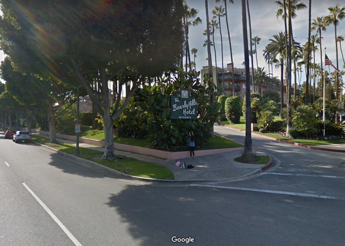 Difficile d’apercevoir les toits si caractéristiques de l’hôtel, qui sont ici cachés par tous les palmiers…