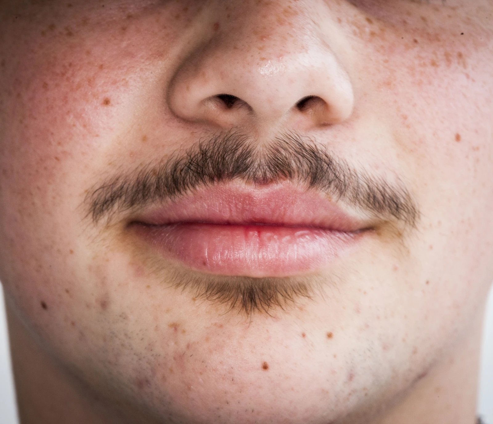 MOUSTACHE MOLLE (expression) / mustaʃ mɔl   Petit duvet peu ragoûtant qui surgit au-dessus de la lèvre supérieure des garçons vers l’âge de 12 ans. Elle se caractérise par le fait que tout le monde sait qu’il faut la raser, sauf celui qui la porte.  Pour poursuivre la lecture : «Bungee rustique et peau de crocodile: la puberté à travers le monde»
