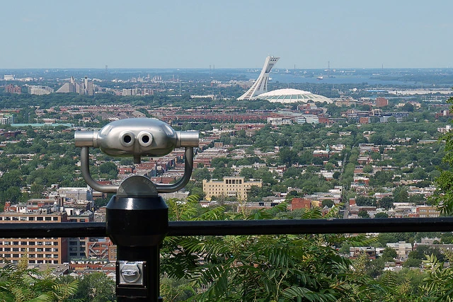 Encore plus simple : vous pouvez vous fier à nous et regarder cette photo si vous ne craignez pas trop les fake news. / Crédit photo : Steve Bolland