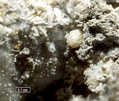 Mieux qu’une coulée de magma destructrice sur le Plateau.