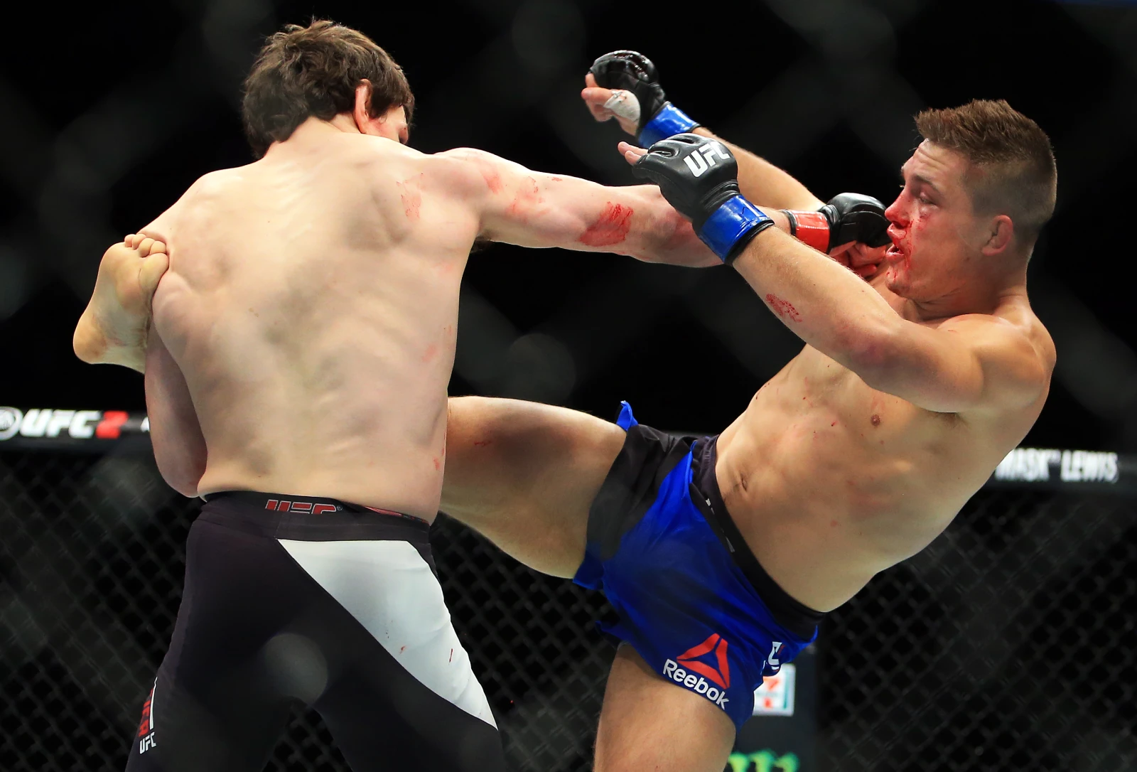 Crédits photo : Vaughn Ridley/Getty Images