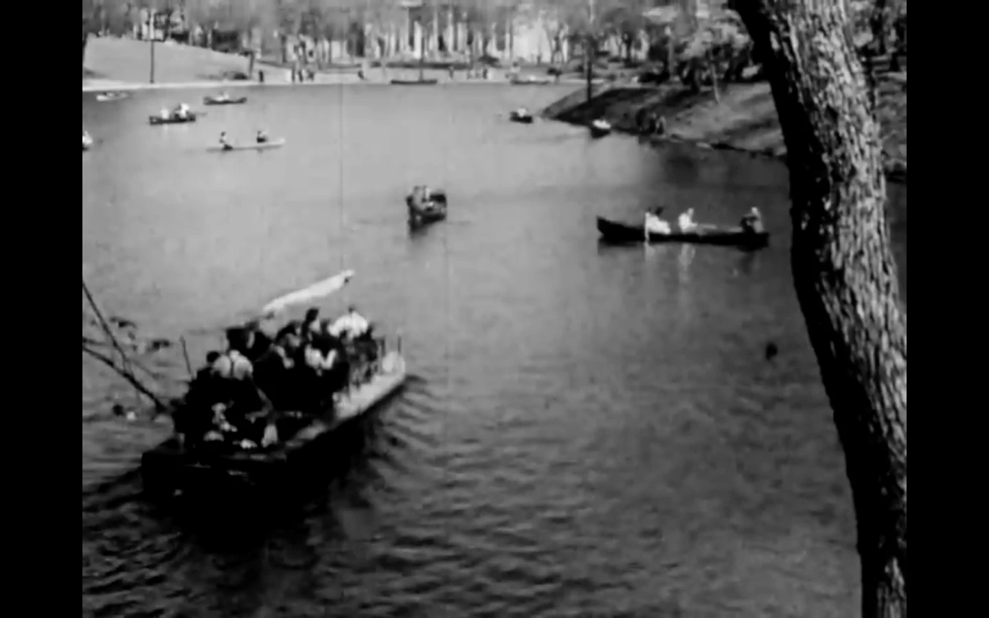 Capture d’écran du charmant documentaire Au parc Lafontaine de Pierre Petel, disponible sur le site de l’ONF.