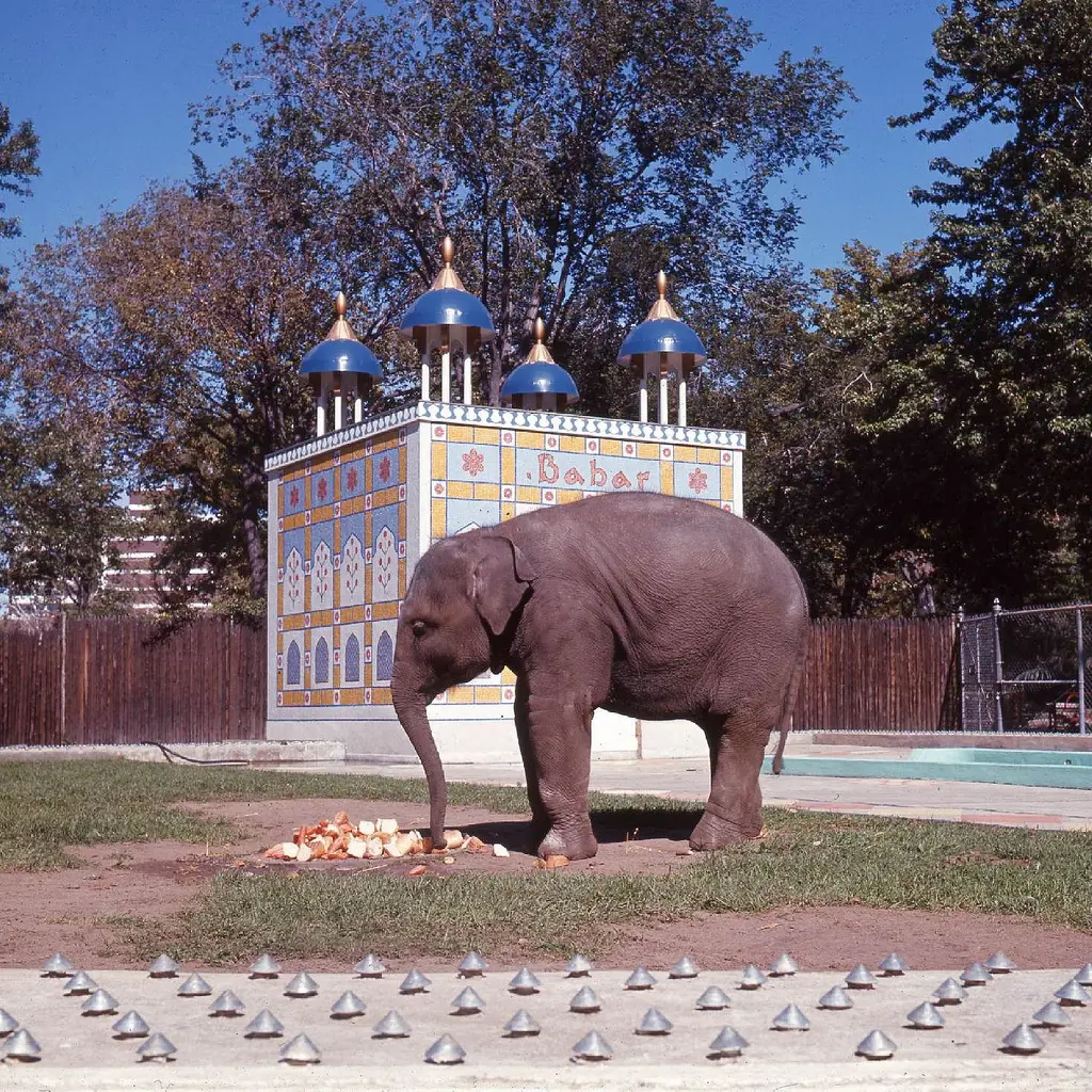 Yo Babar (Photo Archives de Montréal)