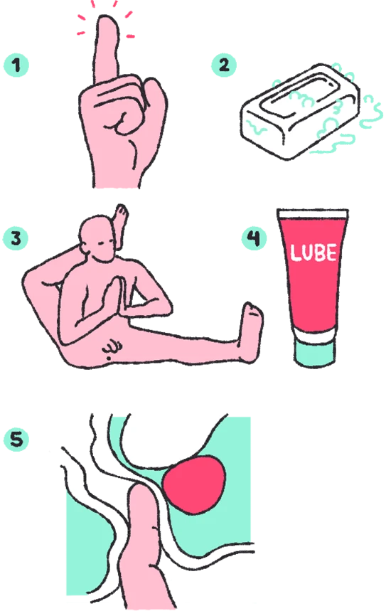 Samuel Jacques – Conifère