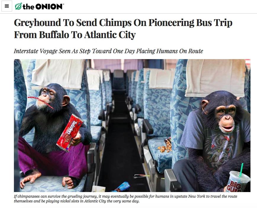 C’est particulièrement inoffensif quand ça parle de singes en autobus.