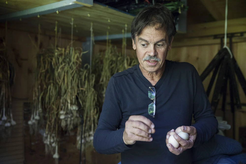 Anthony nous explique la façon dont il fait sécher son ail. Quelques œufs dans les mains: la récolte du jour.