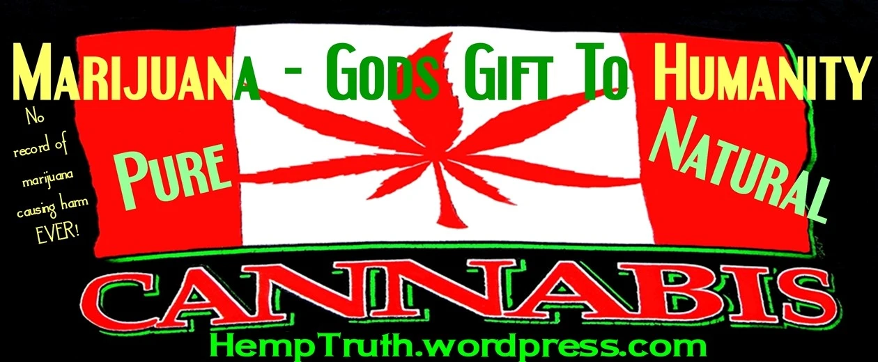 Et la seule chose érigée en rempart contre le peuple et un paradis à base de cannabis, c’est le gouvernement (évidemment).