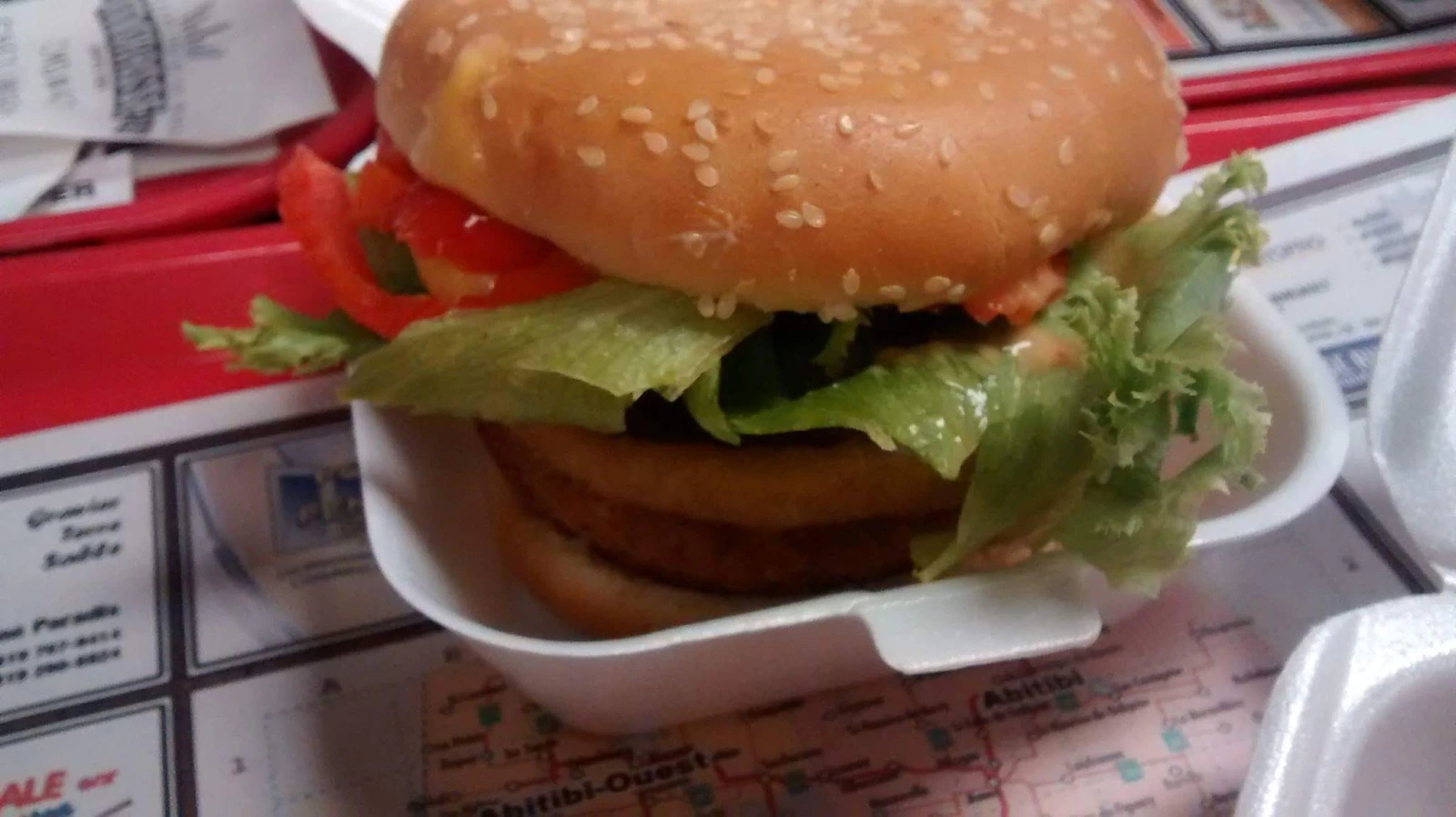 Le rondelet dans son habitat naturel