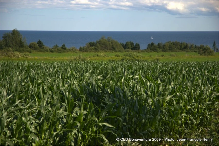 Source : Jean-François Henry, Municipalité de Hope