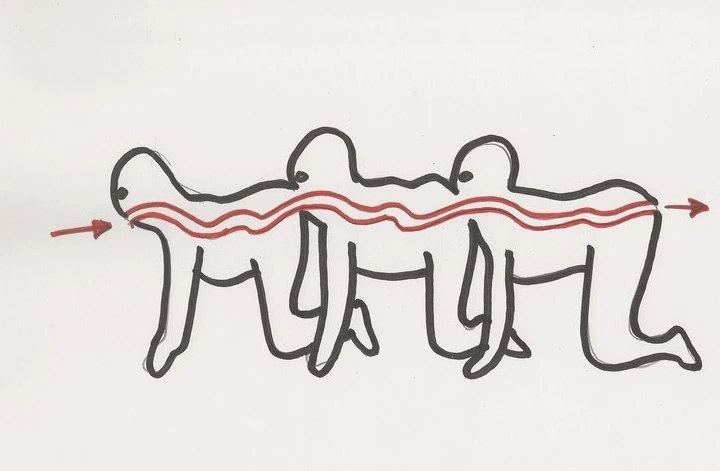 Le diagramme utilisé dans le premier film par Dr. Heiter. On ne vous mettra pas d’autres photos, promis.