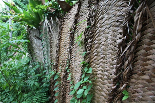 Des panneaux de feuilles de cocotier tressés