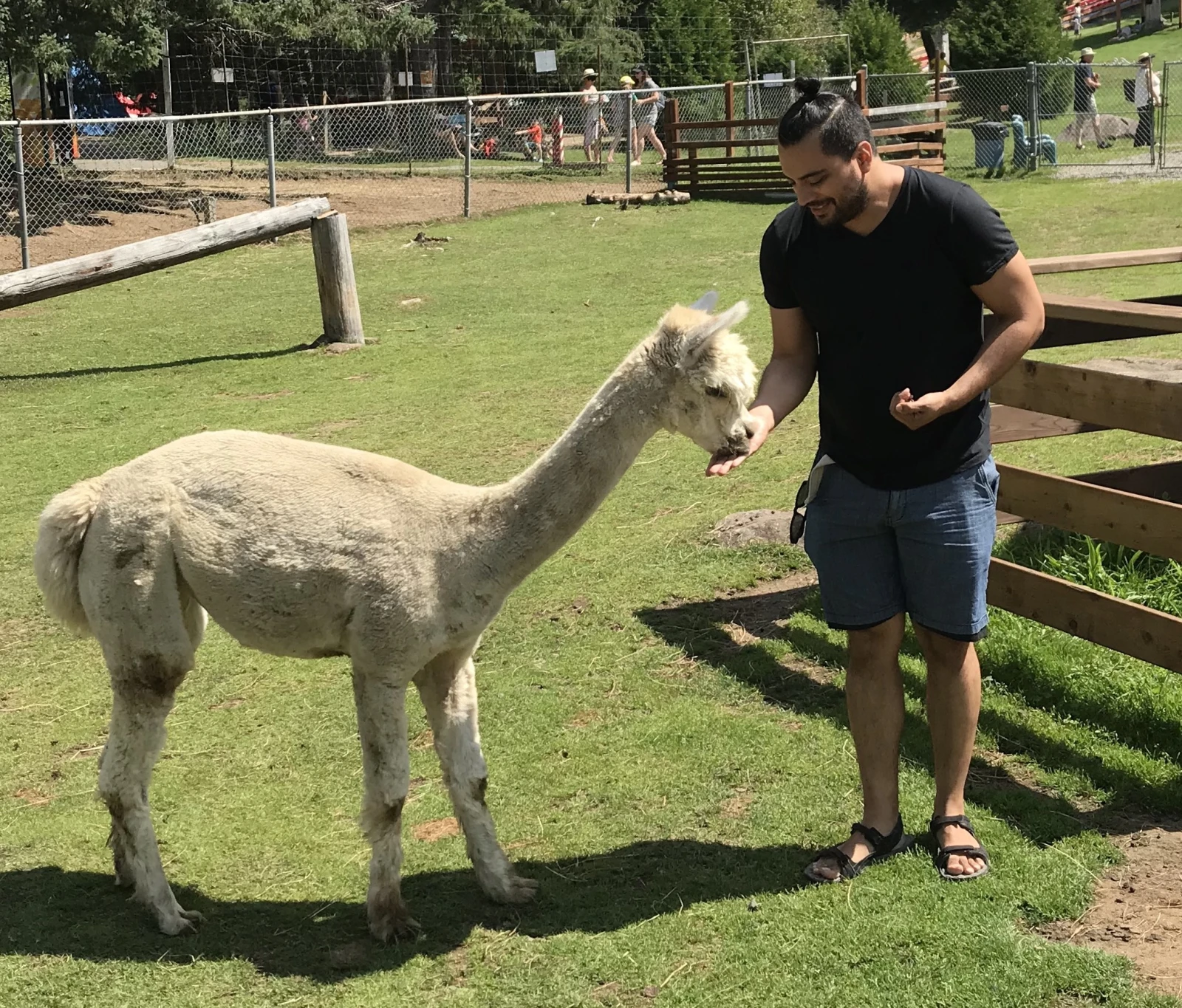 Je me suis fait un nouvel ami (qui n’était plus mon ami dès que je n’avais plus de moulée).