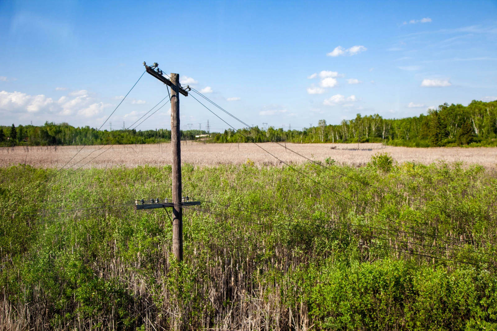 Marécages à travers la fenêtre du Transcanadien / Photo : Noé Girard-Blanc