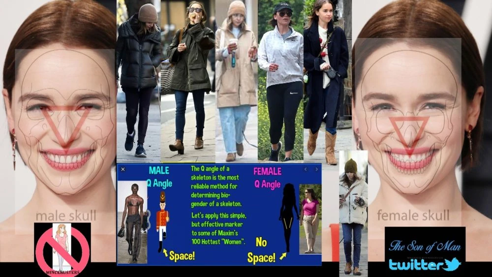 Exemple de schémas « transvestigateurs » par lesquels ces enquêtes sont menées.