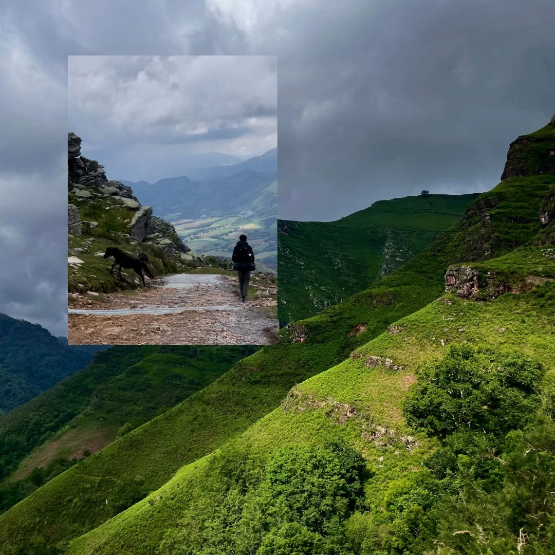 Romane Chamberland-Trudel