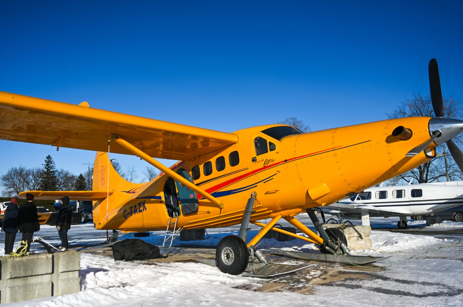 Crédit : Raffaella Szilagyi