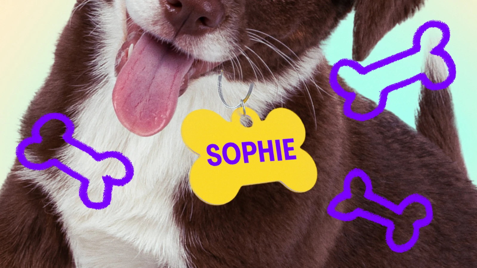 Arrêtez de donner des noms d’humains à vos chiens