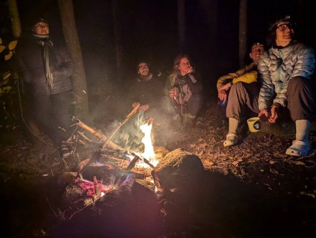 Courtoisie Majd Albasha