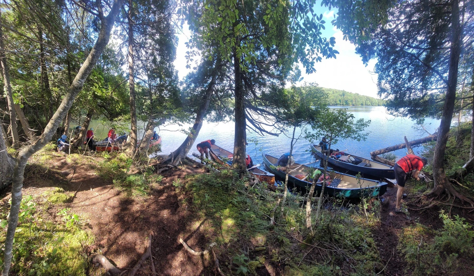 Courtoisie Majd Albasha