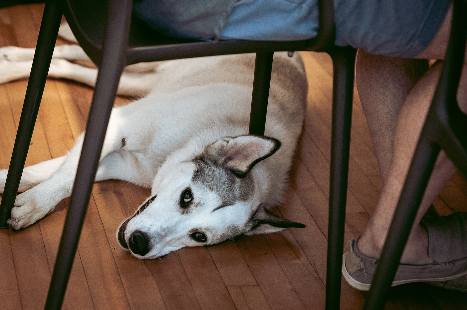 Photo : Jean Bourbeau