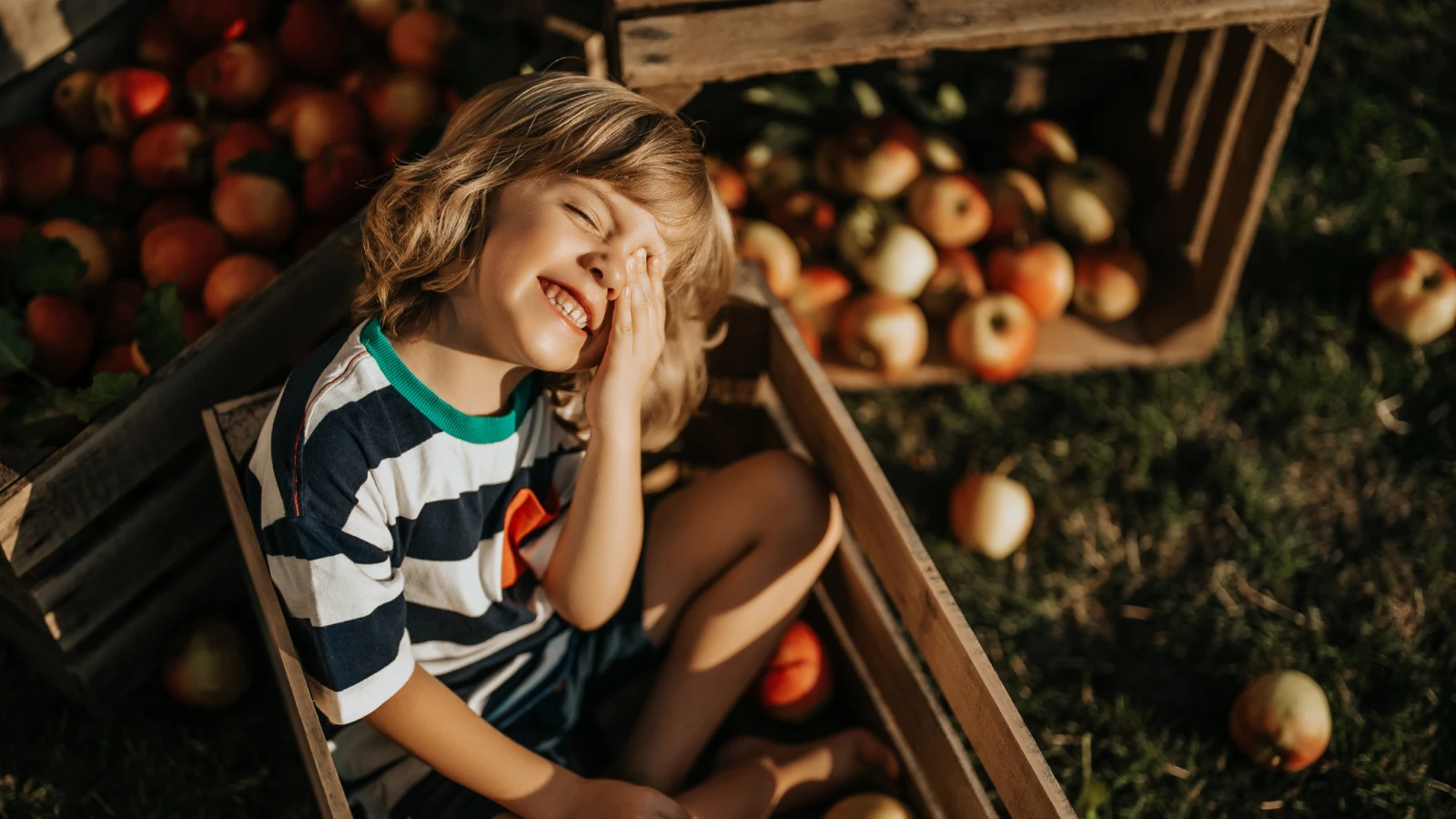 10 vergers pas plates pour l’autocueillette de pommes en famille cet automne