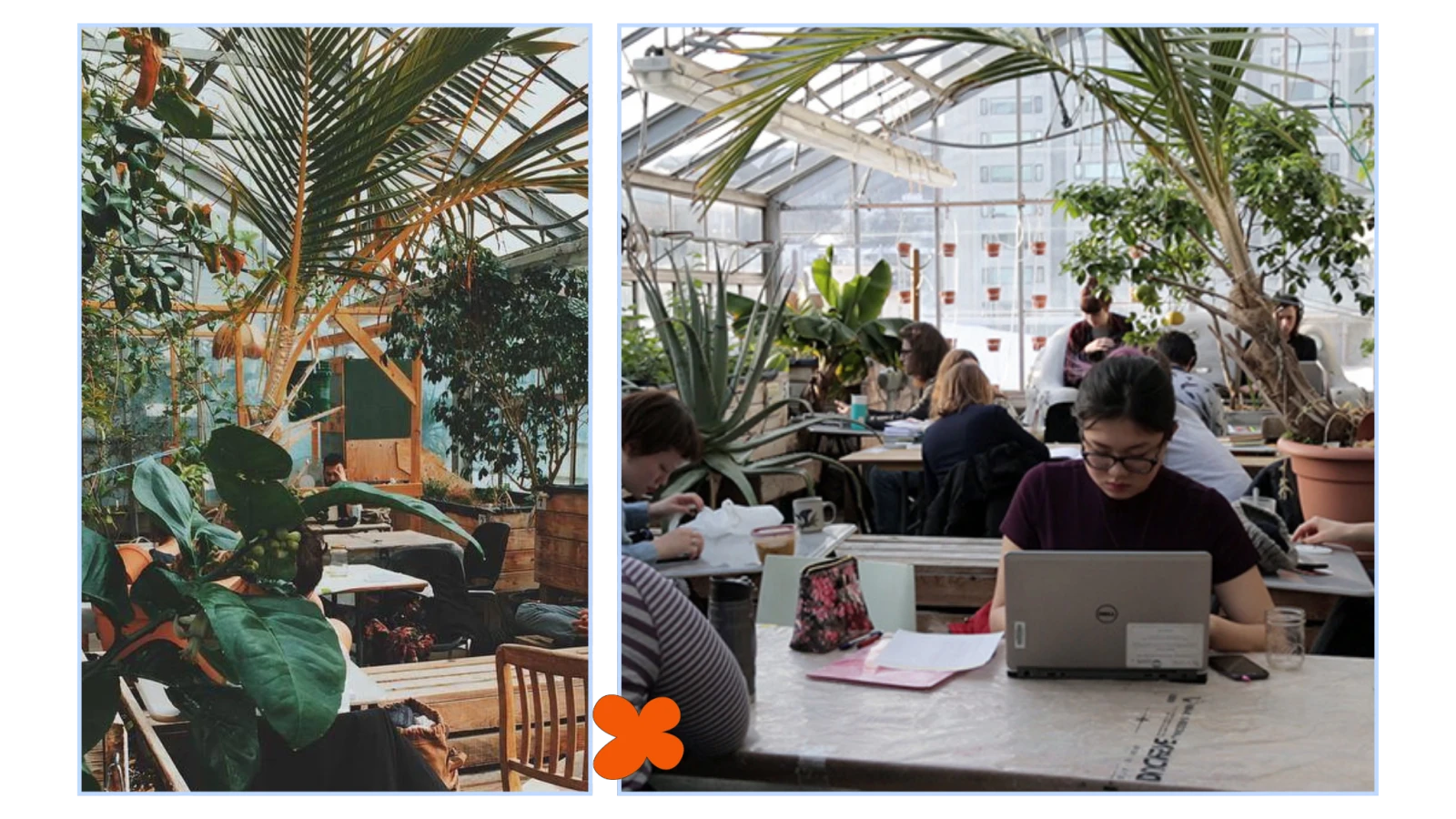 Photos : @concordiagreenhouse