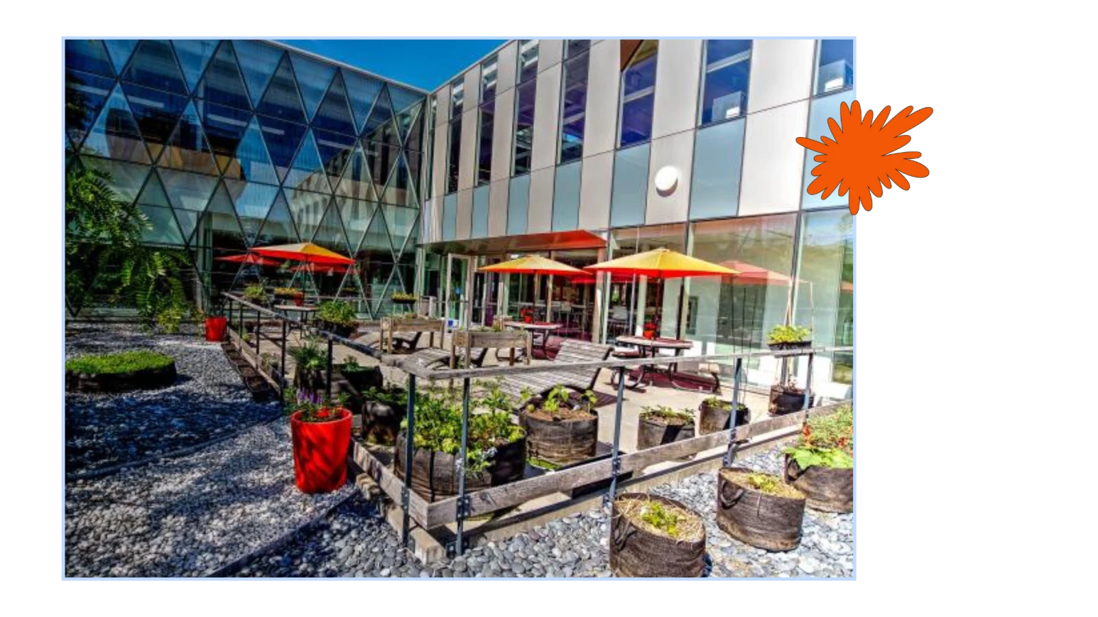 Photo : Bibliothèque Marc-Favreau